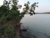 Берег Кубани возле строительной площадки 